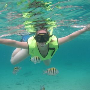 Meet your Posher, Phoebe